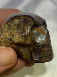 Bolder Opal Skull