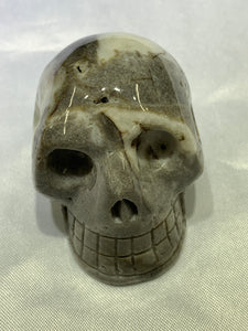 Shell Jasper Skull