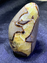Load image into Gallery viewer, Septarian Freeform