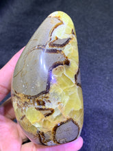 Load image into Gallery viewer, Septarian Freeform