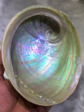 Load image into Gallery viewer, Abalone Shell