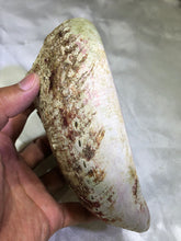 Load image into Gallery viewer, Abalone Shell