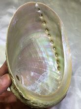 Load image into Gallery viewer, Abalone Shell