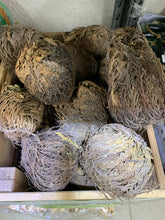 Load image into Gallery viewer, Rose of Jericho