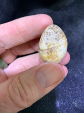 Load image into Gallery viewer, Picture Jasper Tumbled