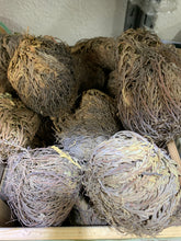 Load image into Gallery viewer, Rose of Jericho