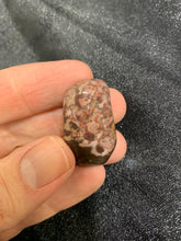 Load image into Gallery viewer, Tiger Jasper Tumbled - 4 stones

