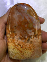Load image into Gallery viewer, Petrified Wood Freeform