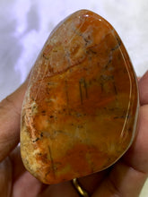 Load image into Gallery viewer, Petrified Wood Freeform