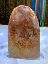 Load image into Gallery viewer, Petrified Wood Freeform