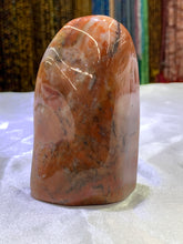 Load image into Gallery viewer, Petrified Wood Freeform