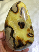 Load image into Gallery viewer, Septarian Freeform