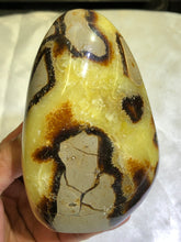 Load image into Gallery viewer, Septarian Freeform