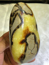 Load image into Gallery viewer, Septarian Freeform