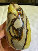 Load image into Gallery viewer, Septarian Freeform