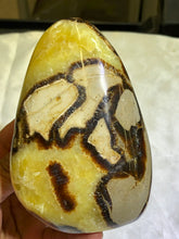 Load image into Gallery viewer, Septarian Freeform