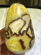 Load image into Gallery viewer, Septarian Freeform