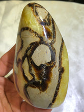 Load image into Gallery viewer, Septarian Freeform