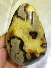 Load image into Gallery viewer, Septarian Freeform