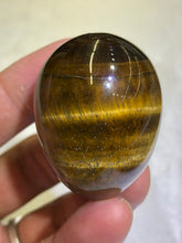 Load image into Gallery viewer, Yellow Tiger's Egg