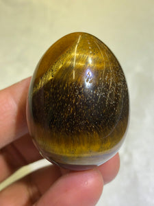 Yellow Tiger's Egg