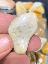 Load image into Gallery viewer, Fossil Coral Tumbled - 2 Stones