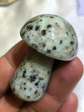 Load image into Gallery viewer, Mini Mushrooms