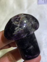 Load image into Gallery viewer, Mini Mushrooms