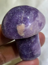 Load image into Gallery viewer, Mini Mushrooms