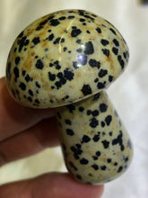 Load image into Gallery viewer, Mini Mushrooms