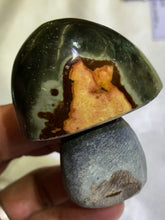 Load image into Gallery viewer, Mini Mushrooms