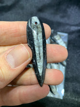 Load image into Gallery viewer, Orthoceras Fossil Pendant
