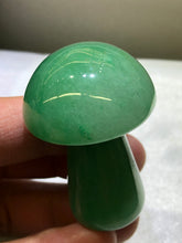 Load image into Gallery viewer, Mini Mushrooms