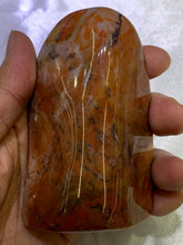 Load image into Gallery viewer, Petrified Wood Freeform