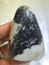 Load image into Gallery viewer, Shell Jasper Freeform