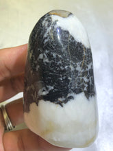 Load image into Gallery viewer, Shell Jasper Freeform