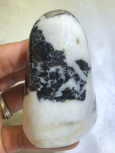 Load image into Gallery viewer, Shell Jasper Freeform