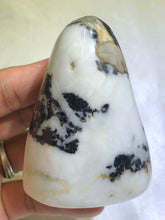 Load image into Gallery viewer, Shell Jasper Freeform