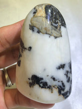 Load image into Gallery viewer, Shell Jasper Freeform