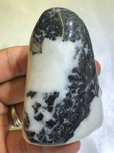 Load image into Gallery viewer, Shell Jasper Freeform