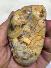 Load image into Gallery viewer, Blue Chalcedony Skull