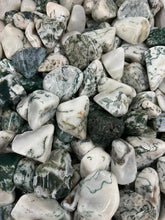Load image into Gallery viewer, Tree Agate Tumbled