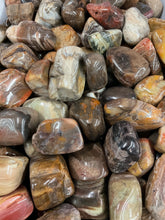 Load image into Gallery viewer, Petrified Wood Tumbled
