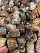 Load image into Gallery viewer, Petrified Wood Tumbled