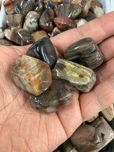 Load image into Gallery viewer, Petrified Wood Tumbled