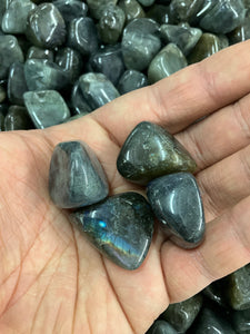 Labradorite Tumbled - 4 Stones