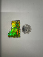 Load image into Gallery viewer, Ammolite
