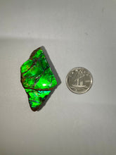 Load image into Gallery viewer, Ammolite
