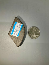 Load image into Gallery viewer, Ammolite
