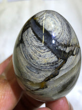 Load image into Gallery viewer, Silver Leaf Jasper Egg
